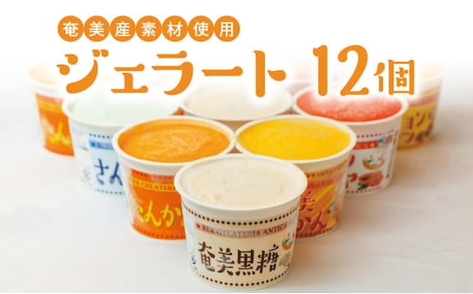 奄美産素材使用ジェラート 12個入り A047-002