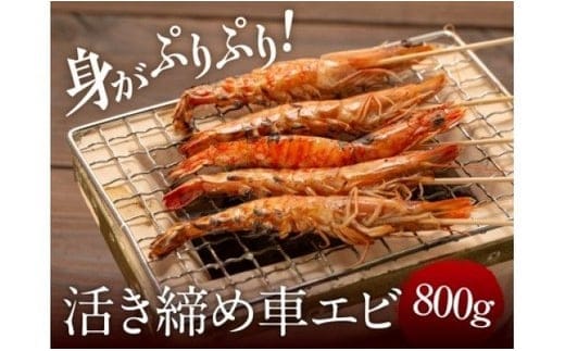 冷凍車エビ 800g（24～46匹入） A049-001