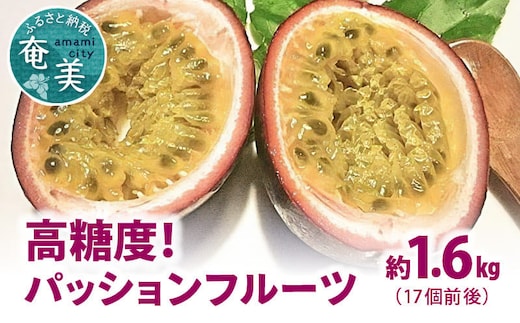 【2026年先行予約】高糖度パッションフルーツ 約1.6kg A059-005