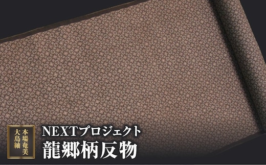 本場奄美大島紬NEXTプロジェクト 龍郷柄 反物 A060-007