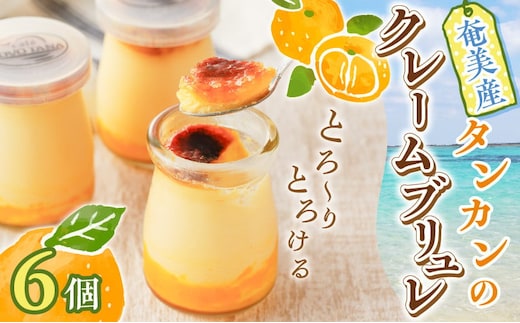 奄美産タンカンのクレームブリュレ（6個入り） A071-001