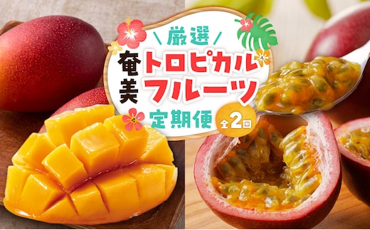 【全2回】厳選！奄美トロピカルフルーツ定期便 A000-T2402