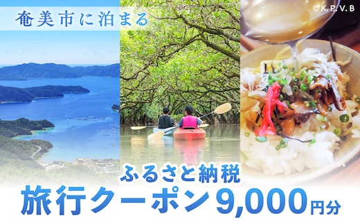 奄美市に泊まるふるさと納税旅行クーポン【9,000円分】 A184-003