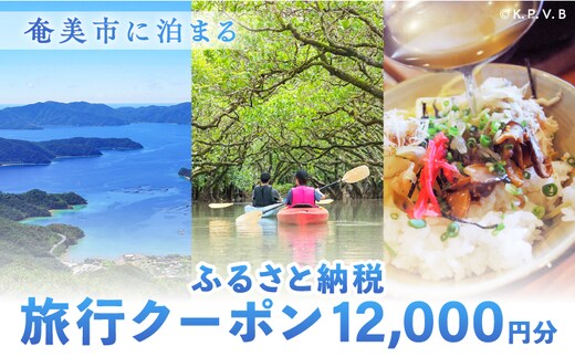 奄美市に泊まるふるさと納税旅行クーポン【12,000円分】 A184-004