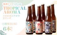 奄美クラフトビール＜3種×各2本＞TROPICAL AROMAシリーズ 6本セット　A126-009-03