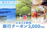 奄美市に泊まるふるさと納税旅行クーポン【3,000円分】　A184-001