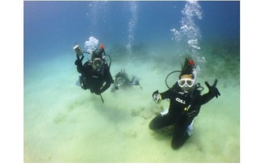 奄美島 体験ダイビング（1名様） A108-003