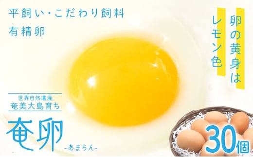 奄卵（あまらん）平飼い 有精卵 30個 A115-007