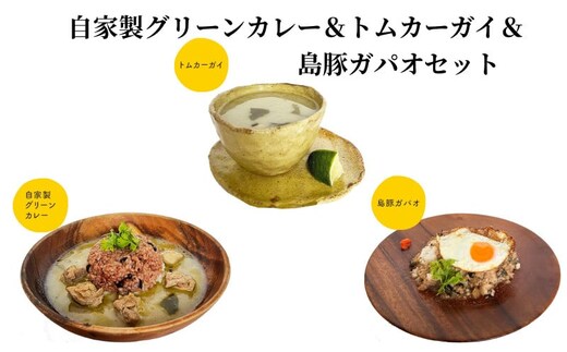 自家製グリーンカレー＆トムカーガイ＆島豚ガパオセット A129-004