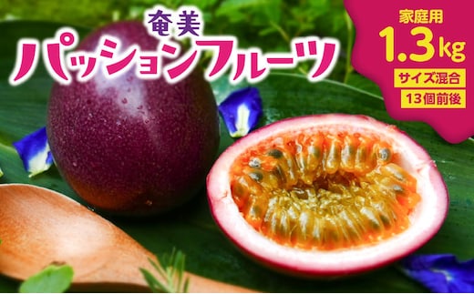 【2026年先行予約】奄美パッションフルーツ 1.3kg 家庭用（サイズ混合）（13個前後） A135-002