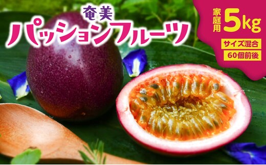 【2026年先行予約】奄美パッションフルーツ 5kg 家庭用（サイズ混合）（60個前後） A135-006