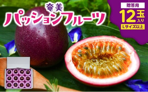 【2026年先行予約】奄美パッションフルーツ 贈答用 12玉入り A135-007