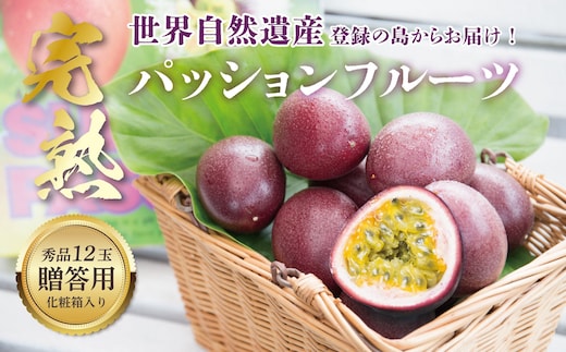 【2026年先行予約】《奄美大島産パッションフルーツ》贈答用化粧箱入り1kg（12玉入り） A145-005