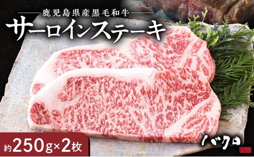 サーロインステーキ 250g×2枚 A152-001