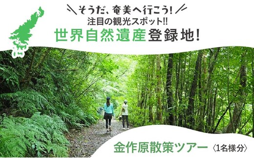 金作原散策ツアー A183-001