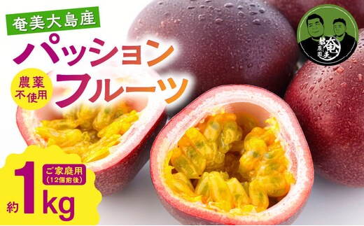 【2026年先行予約】パッションフルーツ 家庭用 約1kg A194-001-01