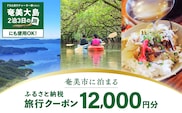 【直行チャーター便ツアーにも使える！】奄美市に泊まるふるさと納税旅行クーポン【12,000円分】　A184-004