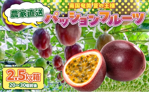 農家直送パッションフルーツ 2.5kg箱 家庭用（サイズ混合） A201-001