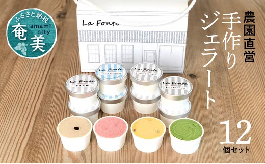 【La Fonte】手づくりジェラート奄美 12個セット A084-002