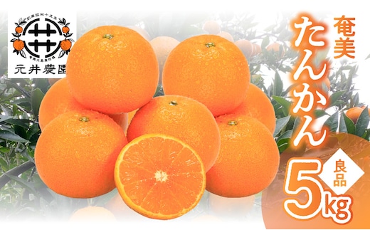 奄美たんかん良品 5kg A086-004