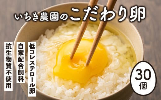 A0-07 いちき農園のこだわり卵(計30個・10個入り×3パック) ふるさと納税 伊佐市 特産品 平飼い 鶏 たまご 低コレステロール 抗生物質不使用 卵かけご飯 TKG【いちき農園】