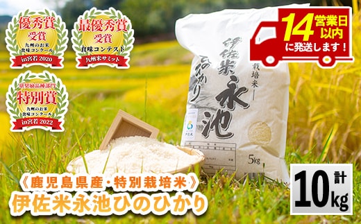 A4-06 ＜14営業日以内に発送！＞《数量限定》令和7年産 特別栽培米 伊佐米永池ひのひかり(10kg) 伊佐市 永池 特産品 伊佐米 九州米サミット 食味コンテスト 最優秀賞受賞 ヒノヒカリ 10kg 【エコファーム永池】