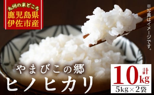 A7-02 特別栽培ヒノヒカリ(計10kg・5kg×2袋) ふるさと納税 伊佐市 特産品 白米 精米 ひのひかり 鹿児島 お米 米 伊佐米 【やまびこの郷】
