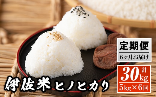 E3-01 【定期便】鹿児島県産！伊佐米ヒノヒカリ(計30kg・5kg×6ヶ月) ふるさと納税 伊佐市 特産品 薩摩 北の郷 特産品 お米 白米 精米 ひのひかり 定期便【神薗商店】