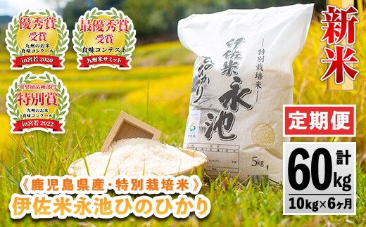 H4-01 【定期便】令和8年産 新米 特別栽培米 伊佐米永池ひのひかり(計60kg・10kg×6ヶ月) 伊佐市 永池 新米 お米 米 白米 精米 伊佐米 食味コンテスト 最優秀賞受賞 ヒノヒカリ 【エコファーム永池】