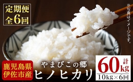 J0-02 【定期便】特別栽培ヒノヒカリ(計60kg・毎月10kg×6ヶ月) ふるさと納税 伊佐市 特産品 白米 精米 ひのひかり 鹿児島 お米 米 伊佐米 【やまびこの郷】