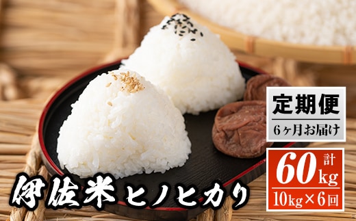 J5-01 【定期便】鹿児島県産！伊佐米ヒノヒカリ(計60kg・10kg×6ヶ月) ふるさと納税 伊佐市 特産品 薩摩 北の郷 特産品 お米 白米 精米 ひのひかり【神薗商店】