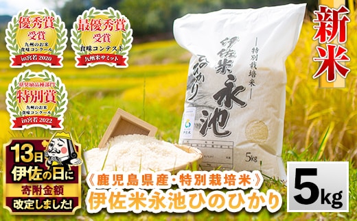 Z7-01 【伊佐の日・寄附額改定】《数量限定》令和7年産 新米 特別栽培米 伊佐米永池ひのひかり(5kg) 伊佐市 永池 特産品 伊佐米 九州米サミット 食味コンテスト 最優秀賞受賞 ヒノヒカリ 5kg 【エコファーム永池】