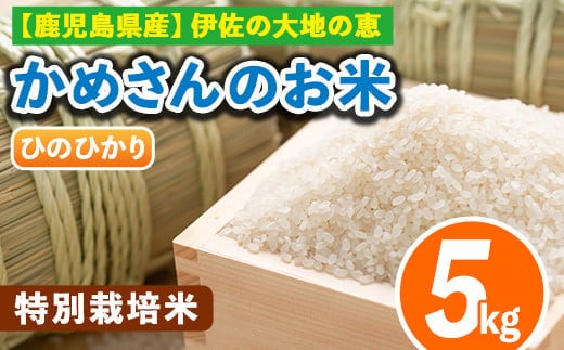 Z9-01 かめさんのお米(5kg・ひのひかり) 伊佐米 米 コメ 白米 精米 ごはん ご飯 ヒノヒカリ 5kg 【Farm-K】