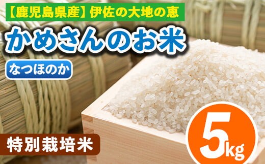 Z9-02 令和8年産 かめさんのお米(5kg・なつほのか) 伊佐米 米 コメ 白米 新米 精米 ごはん ご飯 ナツホノカ 5kg 【Farm-K】