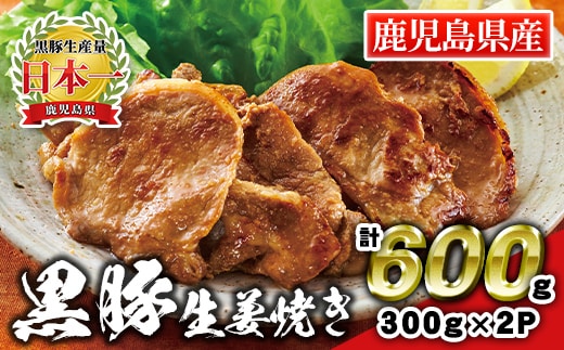 A0-43 鹿児島県産 黒豚生姜焼き(計600g・300g×2パック) 黒豚 豚 ぶた 肉 ロース 生姜 味付 惣菜 夕飯 おかず 焼くだけ 簡単調理 冷凍 【財宝】