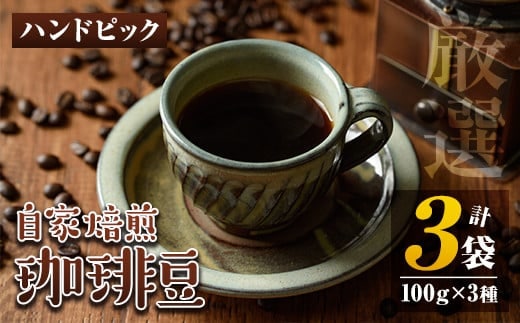 isa198 自家焙煎珈琲豆3袋(計300g・100g×3種)ふるさと納税 伊佐市 特産品 コーヒー coffee コーヒー豆 自家焙煎 ハンドピック 飲み比べ 飲料【工房ゆう】