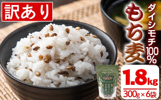 isa256 《訳あり・数量限定》鹿児島県伊佐市産もち麦！＜ダイシモチ＞(計1.8kg・300g×6袋) 国産 九州産 訳あり 麦 ごはん 穀類 お米 ヘルシー 腸活 食物繊維 【社会福祉法人ひまわり福祉会】