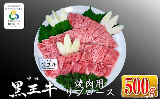 isa336 鹿児島県産黒毛和牛 伊佐黒王牛リブロース焼肉用！(500g) ふるさと納税 伊佐市 特産品 ブランド牛 牛肉 国産 九州産 鹿児島県産 ロース 焼肉 和牛 ギフト 肉 贈り物 プレゼント BBQ【プラン・ビー】