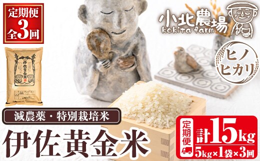 isa601 《数量限定・3回定期便》令和7年産 小北農場のお米 伊佐黄金米〈ヒノヒカリ〉(計15kg・5kg×1袋×3回) 鹿児島 伊佐 お米 特別栽培米 伊佐米 白米 ヒノヒカリ ひのひかり おにぎり ごはん 【小北農場】