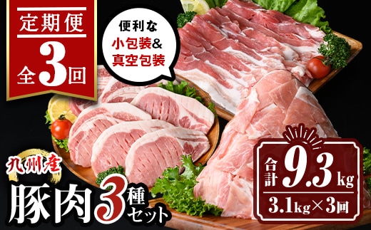 isa683 【定期便3回】小分け・真空パック！九州産豚肉3種セット(合計9.3kg・3.1kg×全3回) バラスライス ロース とんかつ 生姜焼き 真空包装 真空パック 小分け ぶたにく 豚 肉 詰合せ 詰め合わせ 食べ比べ 冷凍 【サンキョーミート株式会社】