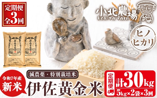 isa791 《数量限定・3回定期便》令和7年産 小北農場の新米 伊佐黄金米〈ヒノヒカリ〉(計30kg・5kg×2袋×3回) 鹿児島 伊佐 新米 お米 30kg 定期便 3回 特別栽培米 伊佐米 白米 ヒノヒカリ ひのひかり おにぎり ごはん 【小北農場】