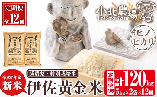 isa793 《数量限定・12回定期便》令和7年産 小北農場の新米 伊佐黄金米〈ヒノヒカリ〉(計120kg・5kg×2袋×12回) 鹿児島 伊佐 新米 お米 120kg 定期便 12回 特別栽培米 伊佐米 白米 ヒノヒカリ ひのひかり おにぎり ごはん 【小北農場】
