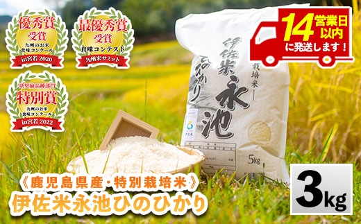 Z5-10 ＜14営業日以内に発送！＞《数量限定》令和7年産 特別栽培米 伊佐米永池ひのひかり(3kg) 伊佐市 永池 特産品 伊佐米 九州米サミット 食味コンテスト 最優秀賞受賞 ヒノヒカリ 3kg 【エコファーム永池】