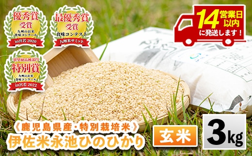 isa535 ＜14営業日以内に発送！＞令和7年産 特別栽培米 永池ひのひかり玄米(3kg) 鹿児島 永池 お米 米 玄米 伊佐米 九州米サミット 食味コンテスト 最優秀賞受賞 ヒノヒカリ 【エコファーム永池】