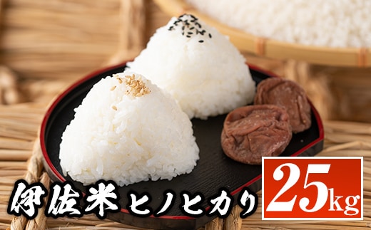 isa138 鹿児島県産！伊佐米ヒノヒカリ(25kg) ふるさと納税 伊佐市 特産品 国産 白米 精米 伊佐米 お米 米 ひのひかり【神薗商店】