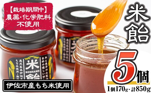 isa155 米飴(850g・170g×5個) ふるさと納税 伊佐市 特産品 シロップ 伊佐市産もち米 使用 米飴 砂糖 はちみつ 代用 離乳食 おやつ 甘味付け 麦芽 赤ちゃん 安心【食と木】