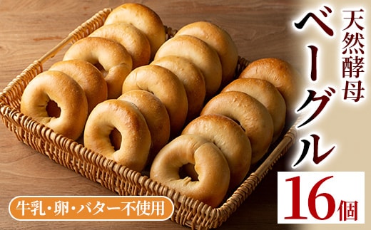 isa170 ＜予約受付中！2026年2月中に発送予定＞プレーンベーグル(16個) 天然酵母 ふるさと納税 伊佐市 特産品 パン 国産 白神こだま酵母 ヒマラヤ岩塩 焼きたて 急速冷凍 ベーグル 牛乳・卵・バター不使用 ベーグルサンド 就労支援 【工房あけぼの】