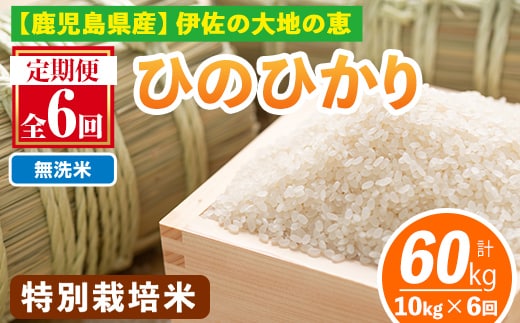 isa517-B 【定期便6回】 ＜無洗米＞令和7年産 鹿児島県伊佐産 特別栽培ひのひかり(計60kg・10kg×6ヵ月) 国産 白米 精米 無洗米 伊佐米 お米 米 生産者 ひのひかり 定期便 【Farm-K】