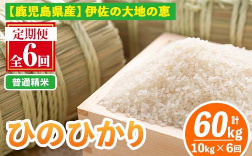 isa520-A 【定期便6回】 ＜普通精米＞令和7年産 鹿児島県伊佐南浦産ひのひかり (合計60kg・計10kg×6ヵ月) 国産 白米 精米 伊佐米 お米 米 生産者 定期便 ひのひかり 【Farm-K】