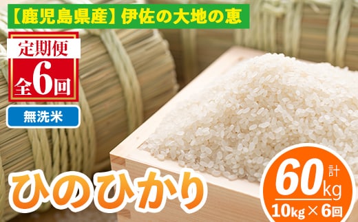 isa520-B 【定期便6回】 ＜無洗米＞令和7年産 鹿児島県伊佐南浦産ひのひかり (合計60kg・計10kg×6ヵ月) 国産 白米 精米 無洗米 伊佐米 お米 米 生産者 定期便 ひのひかり 【Farm-K】